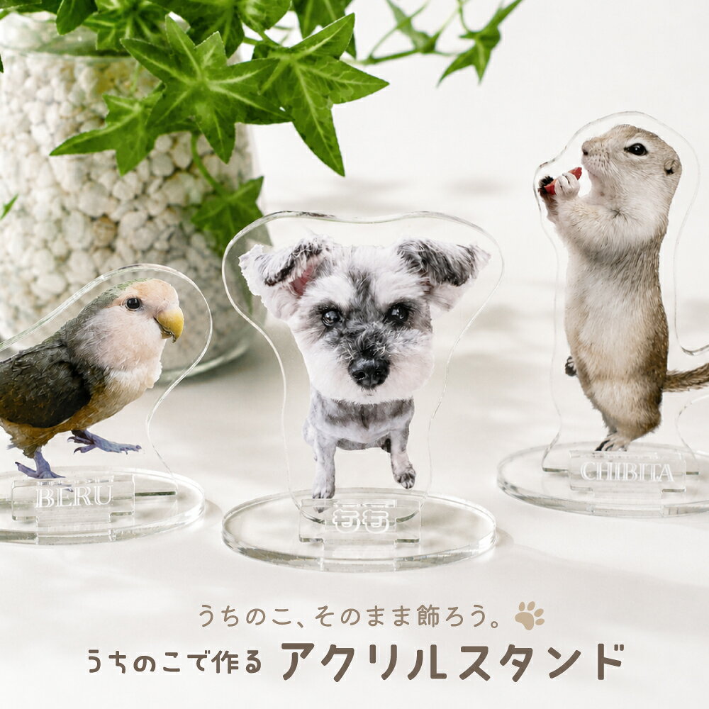 楽天市場】アクリルスタンド（犬用品｜ペット・ペットグッズ）の通販