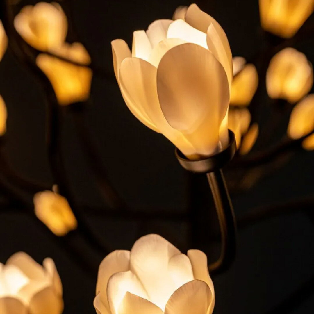 ����������Ź��LLADRO �����ǥꥢ �ڥ����ȥ��� �ڥ����ȥ饤�� �饤�� ���� ���� ���ɥ� ���� �ǥ����ʡ����ȶ� �ǥ����ʡ��� ��߷ľ�� MOKUREN �⥯���