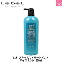 【最大300円クーポン】【3,980円〜送料無料】ルベル ジオ スキャルプトリートメント アイスミント 600ml《ルベル メンズ ヘアケア 頭皮ケア 男性 men 039 s salon treatment》