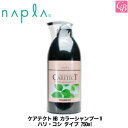 【最大300円クーポン】【当日発13時まで】ナプラ ケアテクトHB カラーシャンプーV ハリ・コシ タイプ 750ml NAPLA 《ナプラ カラーシャンプー 低刺激 カラーケアシャンプー ナプラ ノンシリコン シャンプー サロン shampoo》