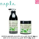 【当日発13時まで】ナプラ ケアテクトHB カラーシャンプーS しっとり タイプ 300ml & カラートリートメントS しっとり タイプ 250g セット《ナ...