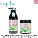 【当日発13時まで】ナプラ ケアテクトHB カラーシャンプーV ハリ・コシ タイプ 300ml & カラートリートメントV ハリ・コシ タイプ 250g セット...