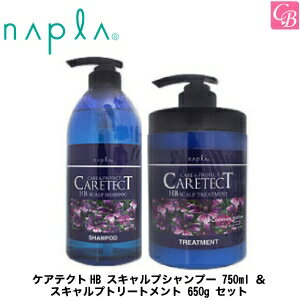 ヘアケア（5000円程度） 【送料無料】【あす楽13時まで】ナプラ ケアテクトHB スキャルプシャンプー 750ml ＆ スキャルプトリートメント 650g セット《ナプラ シャンプー トリートメント 美容室専売 ノンシリコン サロン専売品 shampoo treatment set ヘアケア プレゼント ギフト》