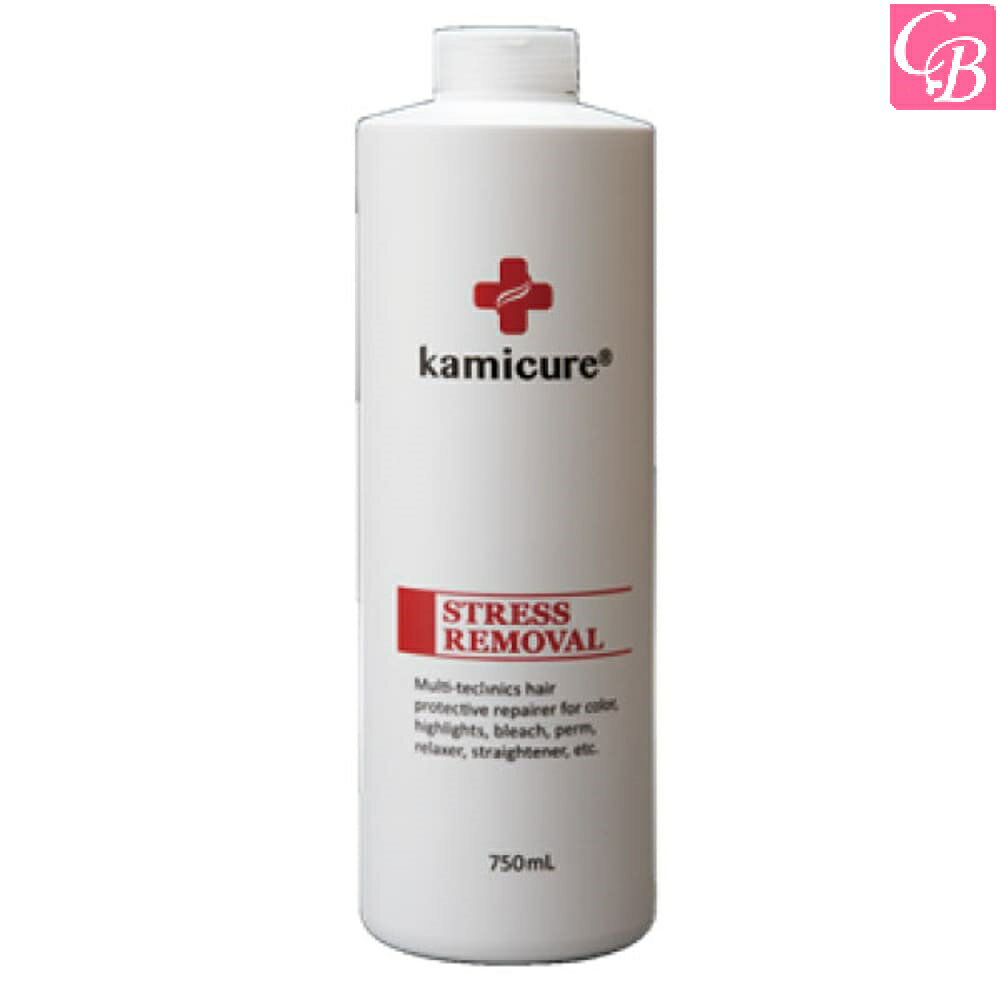 kamicure ストレスリムーバル 750ml 《RB サロン専売品 美容室 理容室》