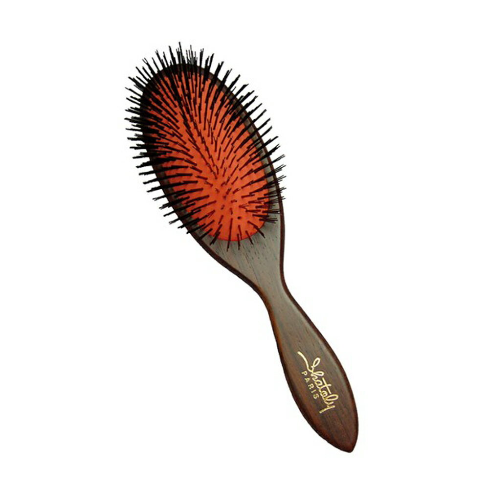 シャトリ ナイロンクッションブラシ L【RB】