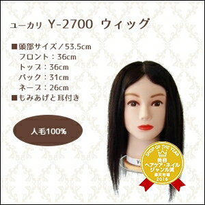 【佐川&宅配便5000円で送料無料】美容雑貨3 ヘア小物 ユーカリ カットウィッグ Y-2700 人毛100％《マネキン ヘッド 頭 マネキン 練習用 美容師 髪 ウィッグ ウイッグ 美容室 美容院 ヘアサロン 業務用》