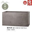 ガーデン用ポット M | 植木鉢 大型 幅70cm 高さ38cm 植木鉢 おしゃれ 植木鉢 プランター おしゃれな植木鉢 鉢 セメント プランター 植木鉢 おし...