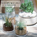 【7/30限定!店内全品ポイント2倍!更にお得なクーポン有】シリンダー&ソーサー Φ12.5×11cm | シリンダー 植木鉢 鉢 鉢植え ポット ガーデニング...