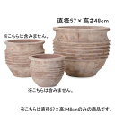 19号 テラコッタ プランター | プランター 植木鉢 鉢 鉢カバー 鉢植え シンプル モダンガーデン ガーデニング 庭 プランツギャザリング ブリコラージュフ...