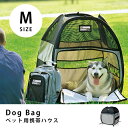  DOgBAg hbOobO MTCY | ybg L  eg ybgnEX ybgeg Lv AEghA