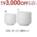 【最大3000円OFFクーポン※お買い物マラソン】ガーデン用ポット M | 鉢 プランター 植木鉢 ディスプレイ インテリア ガーデニング ガーデン雑貨 ナチュ...
