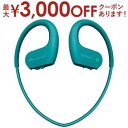 【最大3000円OFFクーポン※お買い物