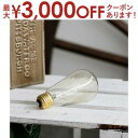 【9/25限定、店内全品PT2倍!最大3000円OFFクーポン有】単品 エジソン電球 口金E26 60W | 電球 ライト 電気 照明 タングステンフィラメント ガラス エジソンバルブ フィラメント E26 100V モダン 北欧 デザイナーズ アンティーク スタイリッシュ