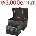 【最大3000円OFFクーポン※スーパーSALE】送料無料 2個セット 収納ボックス トランク型 | トランク 小物収納 小物入れ 小物ケース 小物収納ケース ...