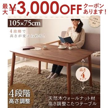 【最大3000円OFFクーポン※スーパーSALE】送料無料 