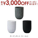【最大3000円OFFクーポン※お買い物マラソン】送料無料 ガーデンポット トール型 L | ガーデン用品 インテリアグリーン 花器 プランター 暮らし 彩り おしゃれ カフェ風 グリーン インテリア 観葉植物 鉢 鉢植え