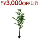 【最大3000円OFF!お得なお買い物マラソンクーポン有】フェイクグリーン コーヒーツリー | 人工植物 造花 フェイク グリーン インテリア カフェ風 おしゃ...