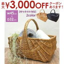 【最大3000円OFFクーポン※お買い物マラソン】かご バスケット 持ち手 LL かごバスケット カゴ 収納かご 収納バスケット インテリア バスケット プランツギャザリング ギャザリング籠 ブリコラージュフラワー ブリコラージュ 籠 寄せ植え