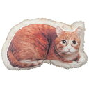 クッション ネコ 猫 ねこ 猫柄 フェイクファー キャット cat ファー ふわふわ 猫風 プリント デザイン 柄 アクセント 個性的 かわいい 可愛い 癒し 子供部屋 こども 子供 子ども ポリエステル どっきり ソファ ソファー ベッド アニマル 動物 自然 にゃんこ ベッドルーム 茶(3)