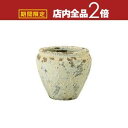 【最大3,000円OFFクーポン有!1日限定 PT2倍!】プランター 鉢 いにしえ 和花器 純朴チューリッププランター LL 大きい 大型 花器 ビンテージ アンティーク 陶器 植木鉢 和風 観葉植物 塊根植物 プランターポット ガーデニング 大きな フラワーベース 日本 和 大き