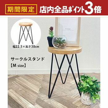 【最大3,000円OFFクーポン有！PT3倍！ブラックフライデー】サークルスタンド Mサイズ | フラワースタン..