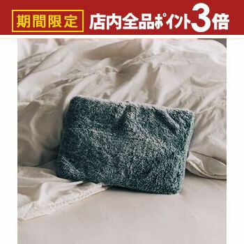 【最大3,000円OFFクーポン有！PT3倍！ブラックフライデー】蓄熱式 蓄熱式湯たんぽ ゆたんぽ 湯たんぽ ..