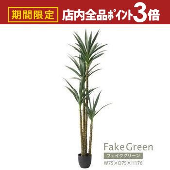 【最大3,000円OFFクーポン有！PT3倍！スーパーSALE】フェイクグリーン | アガベ GRN-18 インテリア リ..