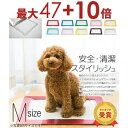 【エントリーで最大47+10倍】M スタイリッシュ トイレトレー | 犬 トイレ トレー おしゃれ トレーニングペットトレー ペット 犬用トイレ ペットトイレ ...