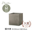 【7/30限定!店内全品ポイント2倍!更にお得なクーポン有】ガーデン用ポット M | 鉢 プランター 植木鉢 ディスプレイ インテリア ガーデニング ガーデン雑...