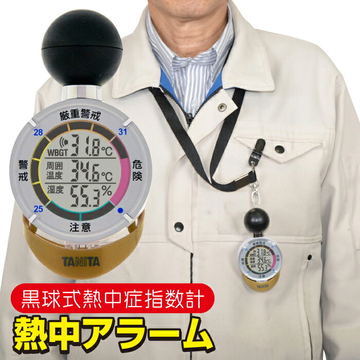 【楽天1位】 [1年保証] アイリスオーヤマ 体温計 非接触 早い 送料無料 正確 ピッと測る スティックタイプ 検温 体温 衛生 非接触体温計 非接触型体温計 医療機器認証 医療機器 記録 液晶 短時間測定 温度 たいおんけい スピード測定 熱 発熱 赤ちゃん ベビー DT-104