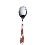 ��ƣ��°���� SALUS �쥸����� �ǥ����ȥ��ס���