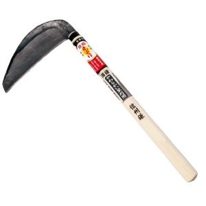 ʥݥ10 ˭̭/˭̭ ˭̭ ǿ HT-0184