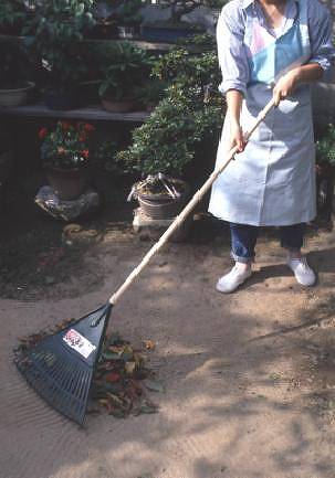 ����ȥ鷧�� ���� 20���� �� 24��(1Ȣ)���å� ����ѥ�