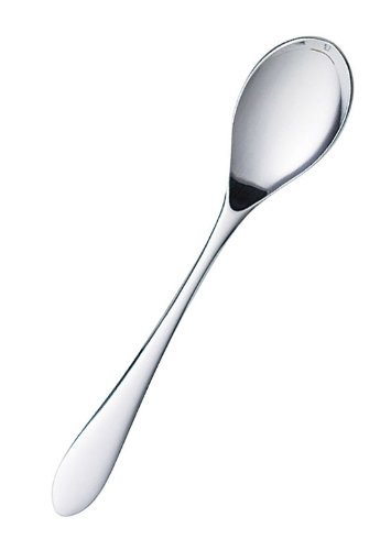 SALUS ロアール ティースプーン 佐藤金属