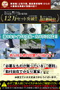 【楽天1位】 取付金具 〈 防犯ステッカー付属〉 防犯カメラ ダミーカメラ 屋外 穴を開けない 白 黒 茶 ミラー ライト センサー メーター モニター 電柱 プレート ポール パネル 照明 ラック ジョイント 汎用 【すぐ使える 】 3