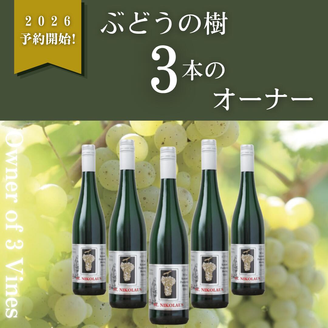 【予約商品】ぶどうの樹3本のオーナー 2026年に実るブドウでできるリースリングのやや甘口ワインが、2027年7月～8月頃届きます 【送料無料】