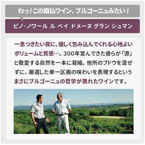 《16,500円以上で送料無料》 ピノ ノワール ル ベイ 2023 ドメーヌ グラン シュマン Pinot Noir Le Bay Domaines Grand Chemin 赤ワイン フランス ラングドック ルーション co2s-10010078 ココス ワイン アンド ウイスキー サンプル画像2