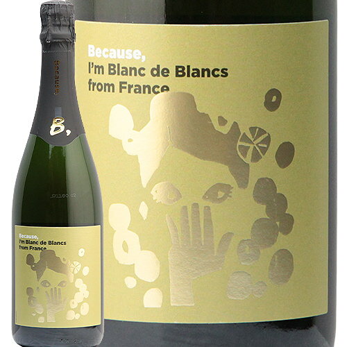【2.2万円以上で送料無料】フランス ブラン ド ブラン NV ビコーズ France Blanc de Blancs Because スパークリングワイン フィラディス