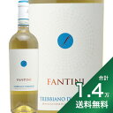 《1.4万円以上で送料無料》ファンティーニ トレッビアーノ ダブルッツォ 2022 ファルネーゼ Fantini Trebbiano d’Abruzzo Farnese 白ワイン イタリア アブルッツォ