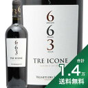 《1.4万円以上で送料無料》トレ イコーネ NV ヴィニエティ デル サレント Tre Icone Vigneti del Salento 赤ワイン イタリア