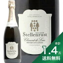 《1.4万円以上で送料無料》ステレンラスト MCC ロゼ スパークリング クレマン ド ルアー NV Stellenrust MCC Rose Sparkling Clement de Lure ロゼ スパークリング 南アフリカ