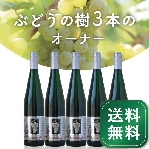 【予約商品】ぶどうの樹3本のオーナー 2025年に実るブドウでできるリースリングのやや甘口ワインが、2026年7月ごろ届きます 【送料無料】《締め切り12月末ま...