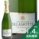 s1.4~ȏőthDbg ubg NV Delamotte Brut Vp Xp[NO tX Vp[j