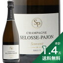 《1.4万円以上で送料無料》スーヴニール ブリュット NV セロス パジョン Souvenir Brut Selosse Pajon シャンパン スパークリングワイン フランス シャンパーニュ