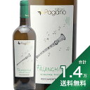 s1.4~ȏőtt@M[i Ff~A ^fB[@ bJtB[i rAR 2021 t@bgA pK[m Falanghina Vendemmia Tardiva Roccamonfina Bianco Fattoria Pagano C C^A Jp[j