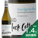 s1.4~ȏőtubN Re[W }[{ \[Bj u 2023 gD[ o[Y Black Cottage Marlborough Sauvignon Blanc Two Rivers C j[W[h h TUNX