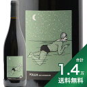 《1.4万円以上で送料無料》ブルグイユ ポリュックス 2020 メゾン ボワザール Bourgueil Pollux Maison Boisard 赤ワイン フランス ロワール