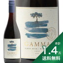 《1万4千円以上で送料無料》ベサ ガンマ オーガニック ピノ ノワール レゼルバ 2022 Vesa Gamma Organic Pinot Noir Reserva 赤ワイン チリ