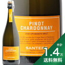 《1.4万円以上で送料無料》 サンテロ ピノ シャルドネ スプマンテ Santero Pinot Chardonnay Spumante スパークリングワイン イタリア ピエモンテ