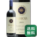 サッシカイア 2019 テヌータ サン グイド Sassicaia Tenuta San Guido 赤ワイン イタリア トスカーナ《1.4万円以上で送料無料※例外地域あり》